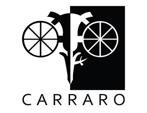 Carraro_Kenya_Translation_Services